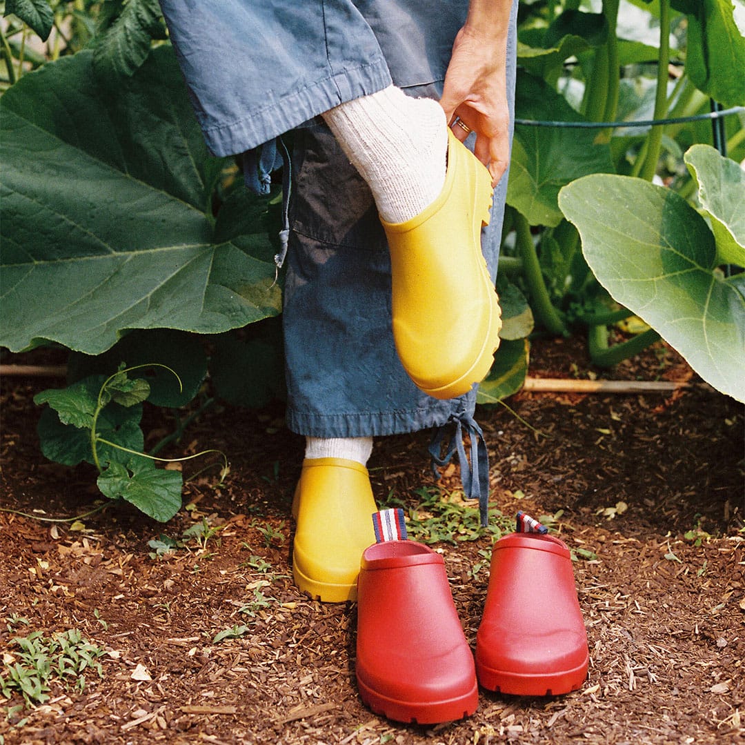 Womens - Bodega Clog V2 - Calendula - Image 7